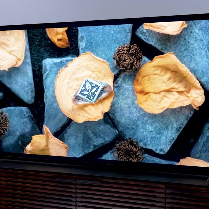 A metal insignia on top of a leaf on stony ground on a Sony Bravia X93L mini-LED TV.