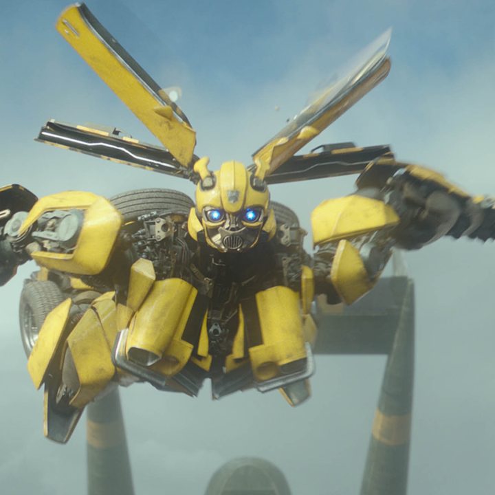 Bumblebee flies.