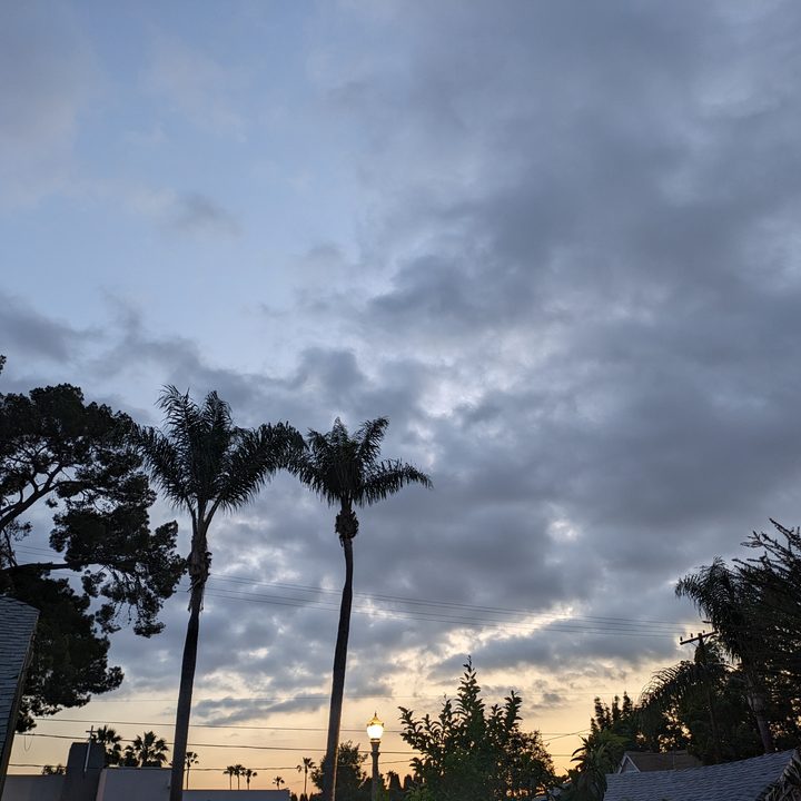 Evening sunset taken with Google Pixel 7a main camera