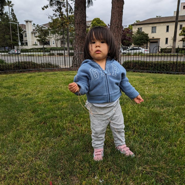 Toddler standing in park taken with Google Pixel 7a main camera