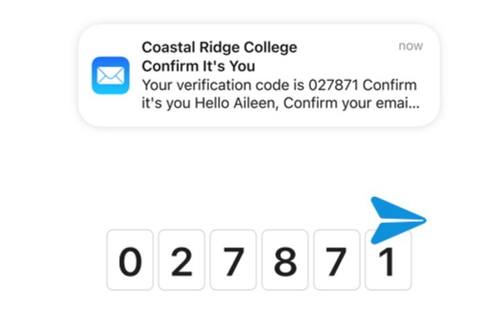Autofill verification codes for the Mail app in iOS 17.