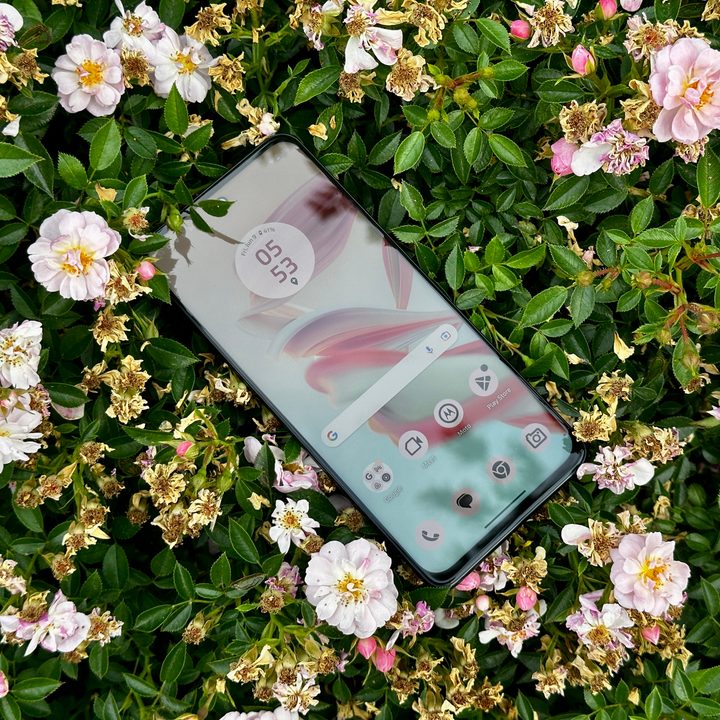 Moto G Stylus 5G 2023 in a flowery shrub.