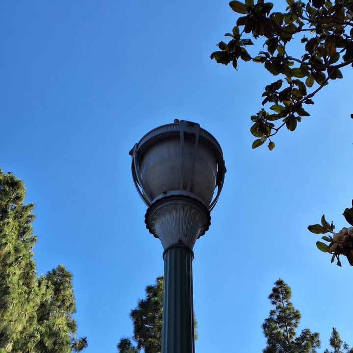 Lamp post at park taken with Samsung Galaxy A54 2x zoom