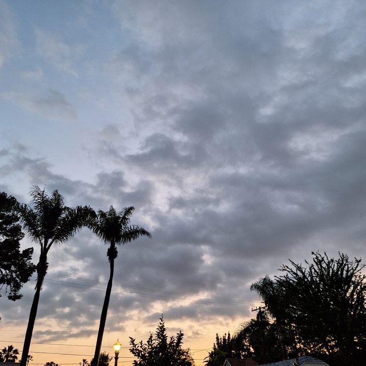 Evening sunset taken with Samsung Galaxy A54 main camera