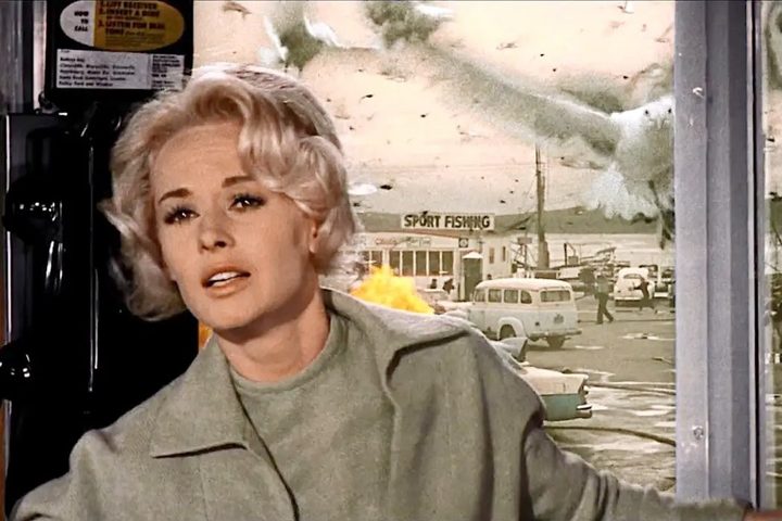 A woman is trapped in a phone booth in The Birds.