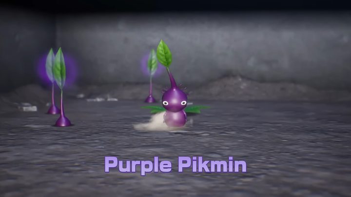 A purple pikmin stomping the ground.