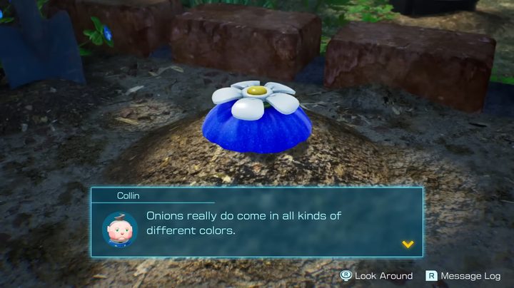 Collin saying how onions come in tons of colors in Pikmin 4.