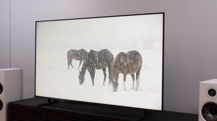 Three horses trying to graze in a snowstorm displayed on a Hisense U8K TV.