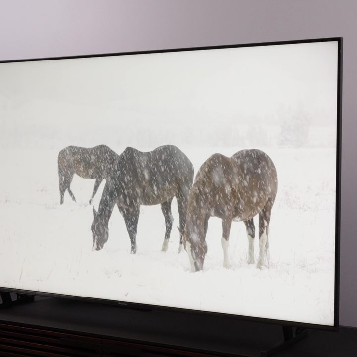 Three horses trying to graze in a snowstorm displayed on a Hisense U8K TV.