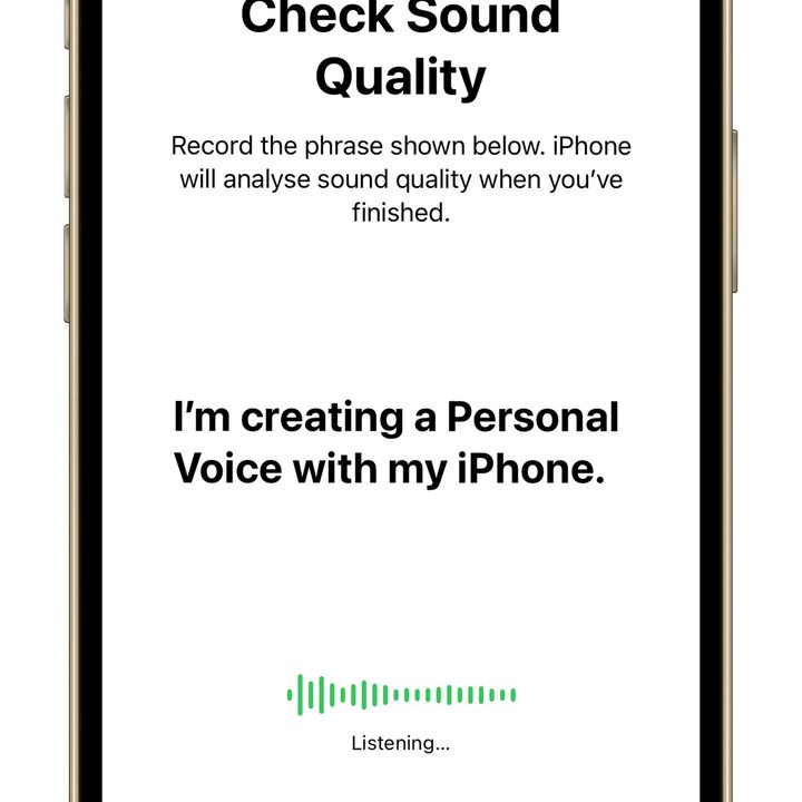 Personal Voice Feature in iOS 17 check sound quality.