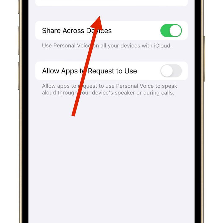Personal Voice Feature in iOS 17 initial setup.