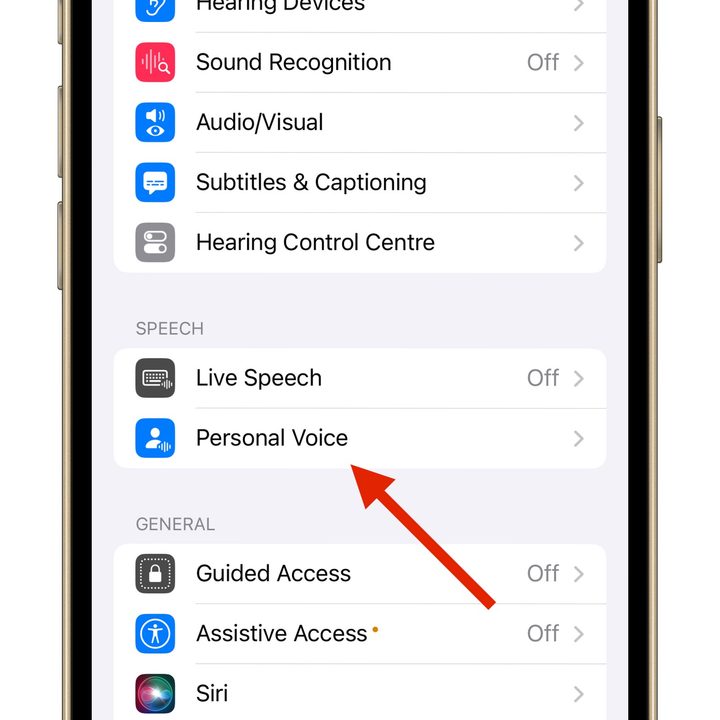 Personal Voice Feature in iOS 17 function.