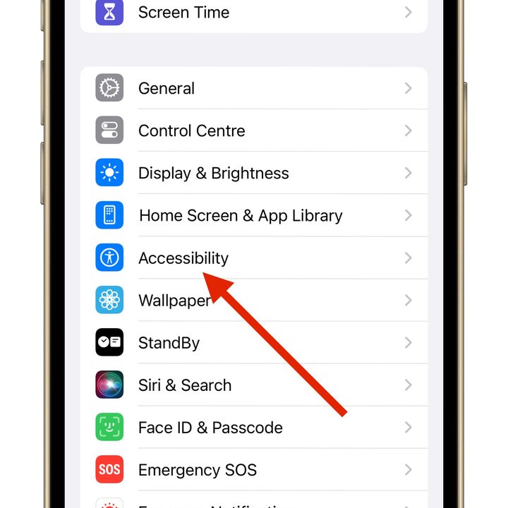 Personal Voice Feature in iOS 17 accessibility system.