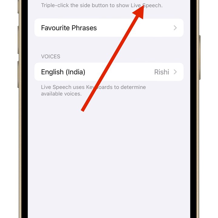 Personal Voice Feature in iOS 17 live speech.