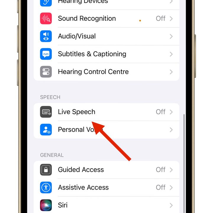 Personal Voice Feature in iOS 17 live speech option.