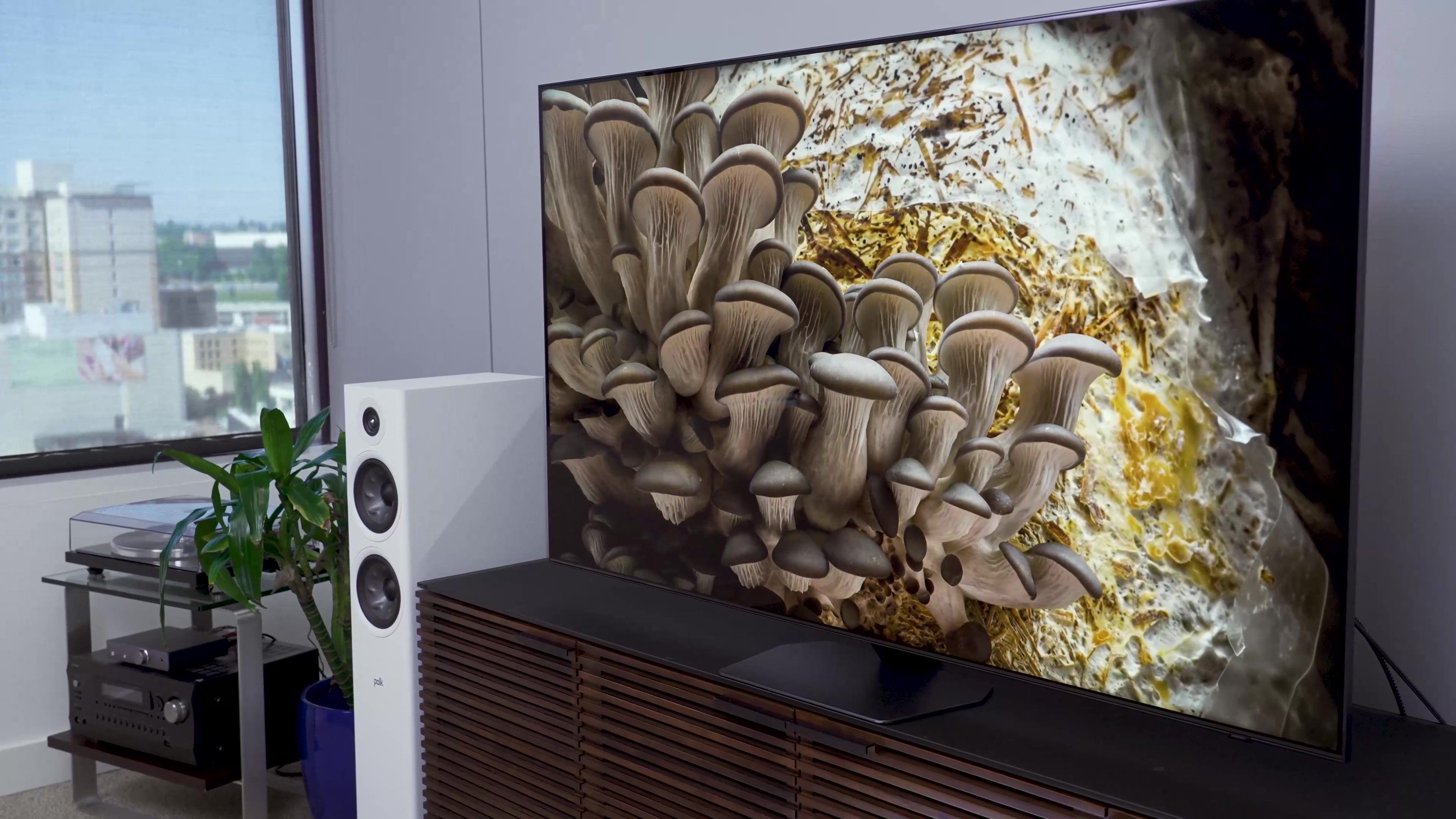 Samsung QN90C review