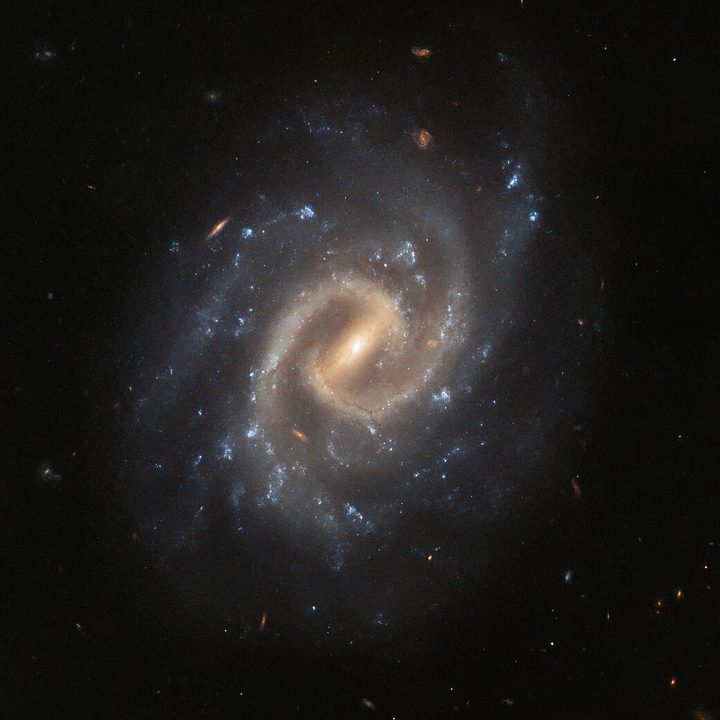 The tranquil spiral galaxy UGC 12295.