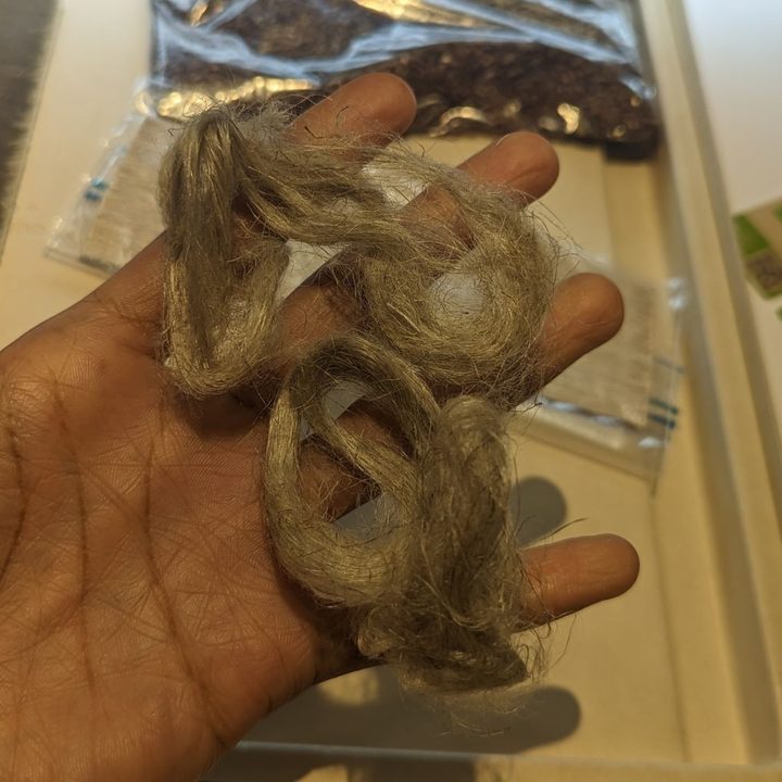 Flaxseed stalk fibers used on the Thinkpad Z13 back panel.