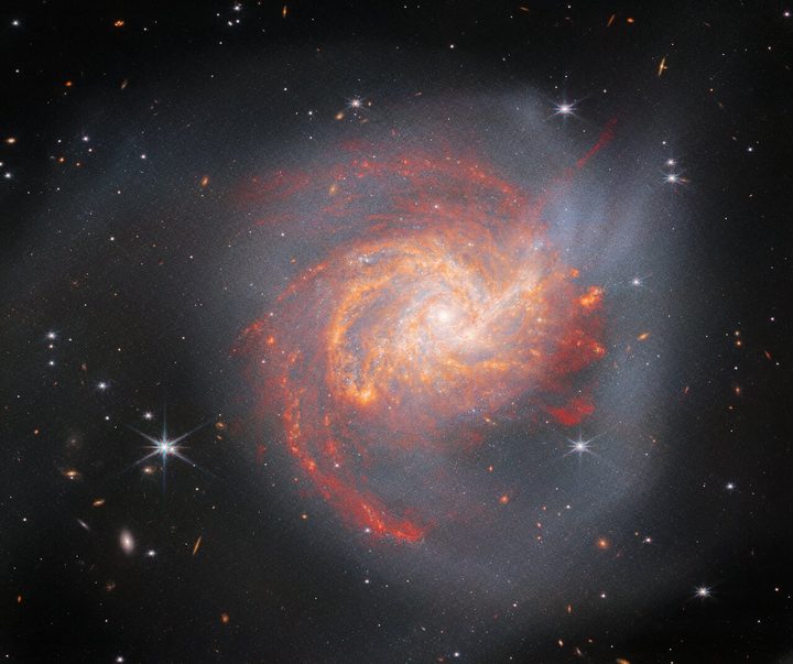 The peculiar galaxy NGC 3256 dominates this image from the NASA/ESA/CSA James Webb Space Telescope. This Milky Way-sized galaxy lies about 120 million light-years away in the constellation Vela, and is a denizen of the Hydra-Centaurus Supercluster.
