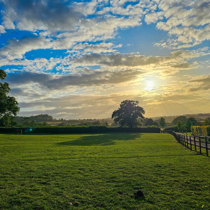 Photo taken with the Galaxy S23 Ultra and edited in the Lightroom app.