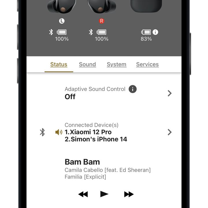 Sony Headphones app for iOS Status page.