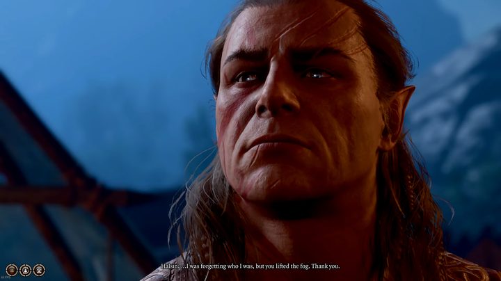 Halsin looking stoic in Baldur's Gate 3.