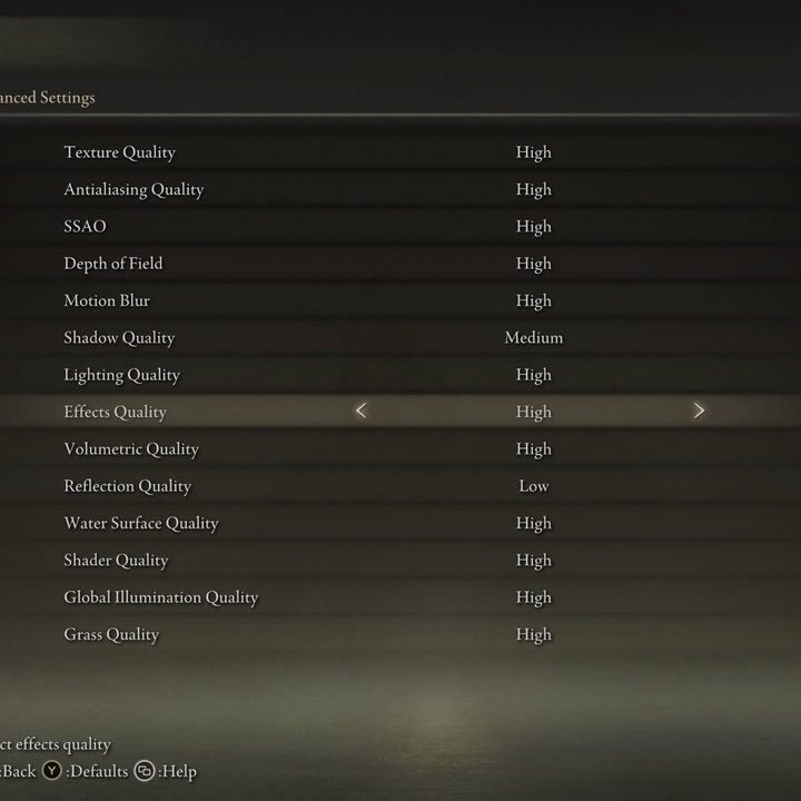 Game settings in Elden Ring.