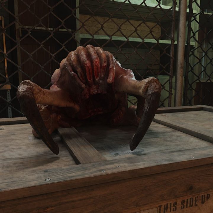 A headcrab in Half-Life 2 RTX