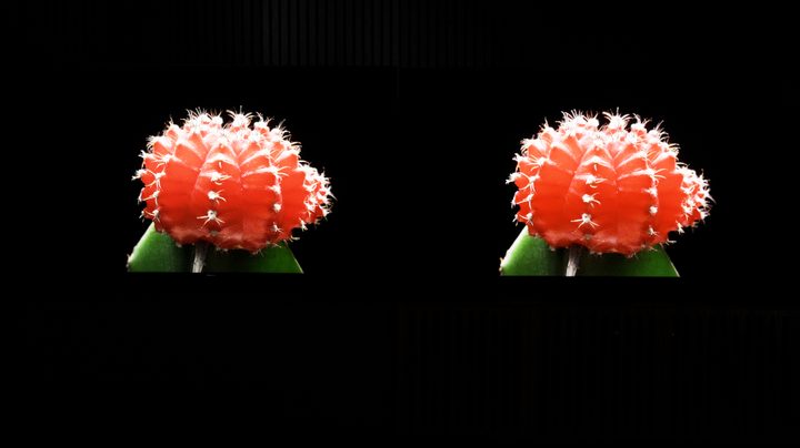 Hisense U8K vs TCL QM8