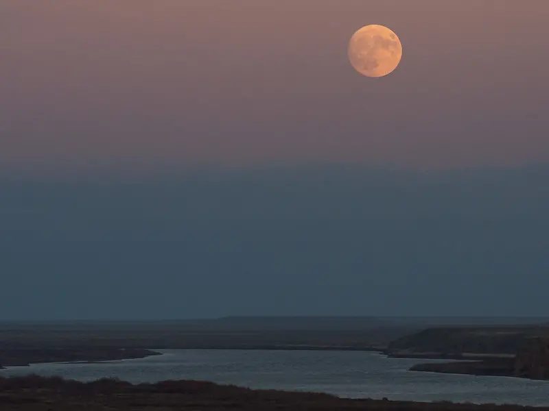 Tonight is your chance to observe a rare blue supermoon - Digital