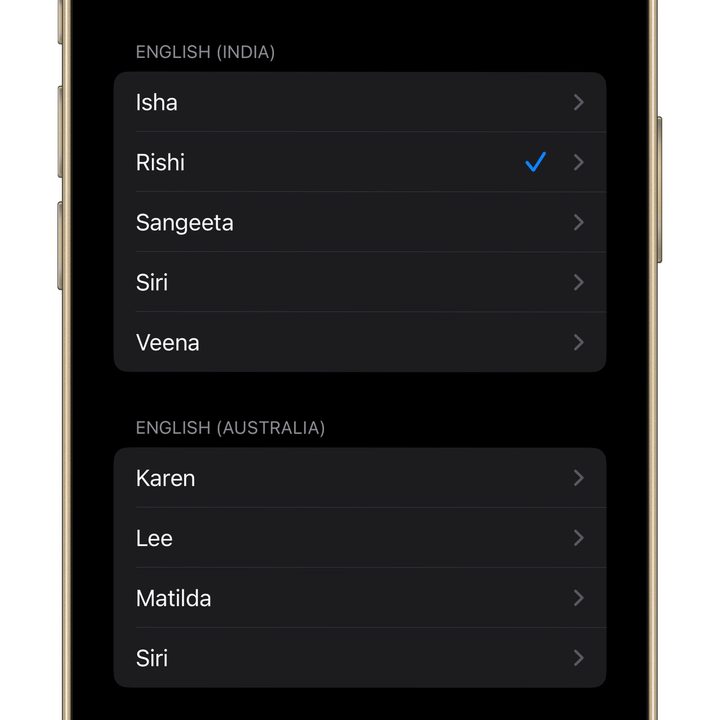 Personal Voice setting in iOS 17.