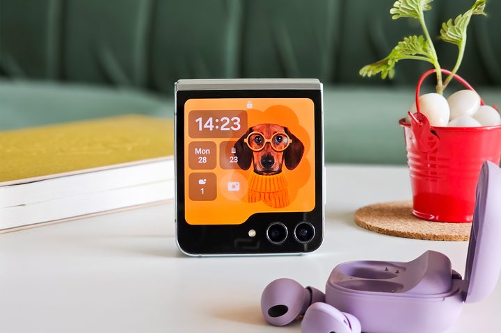 Samsung Galaxy Z Flip 5 cover screen dog wallpaper on a flat surface with purple Galaxy Buds 2 Pro on the side.