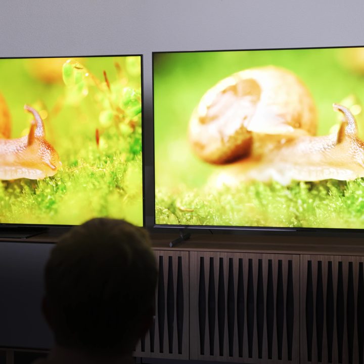 A side-by-side comparison of the TCL QM8 and Sony X90L. Both screens show a closeup of a snail in green grass.