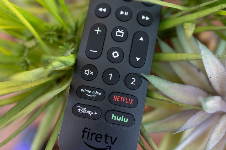 Buttons on the Alexa Voice Remote Pro.