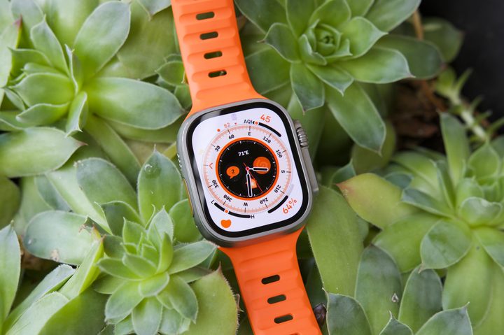 Apple Watch Ultra lying in a succulent pot.