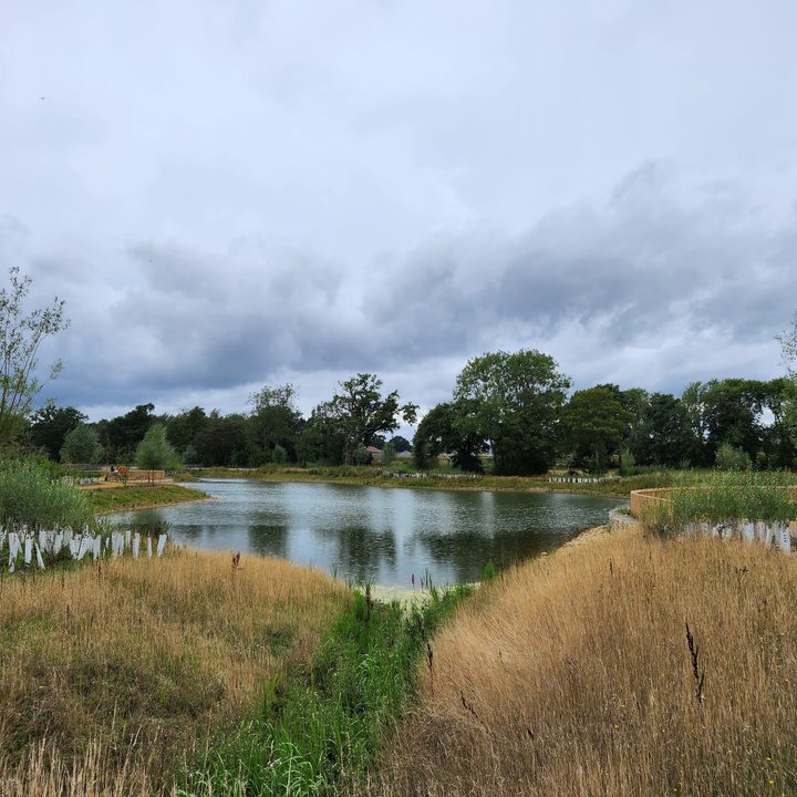 A photo taken with the Samsung Galaxy Z Fold 4.