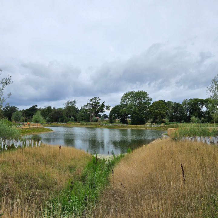A photo taken with the Samsung Galaxy Z Fold 5.