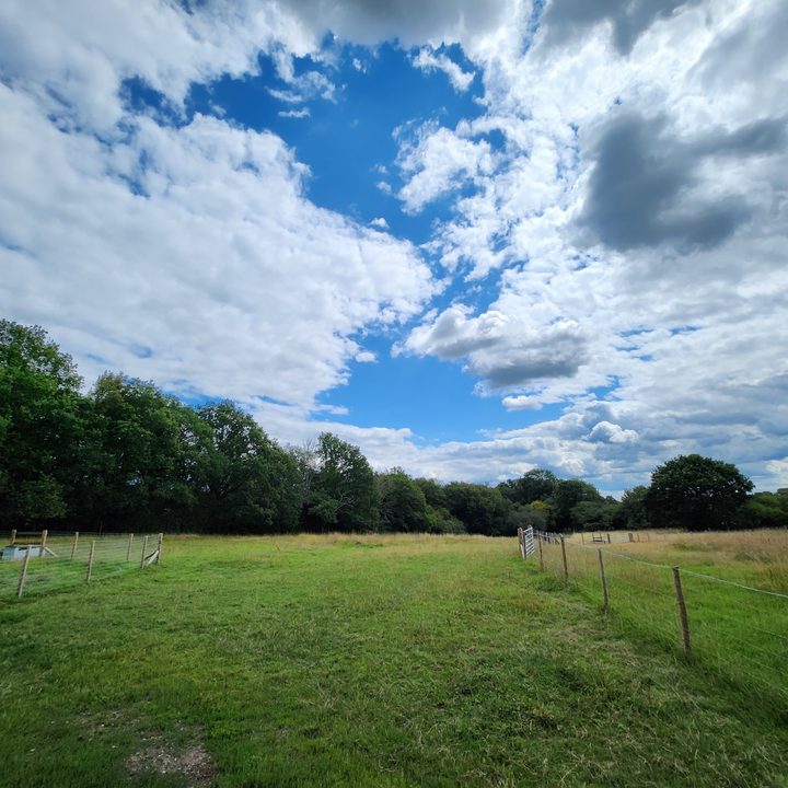 A wide-angle photo taken with the Samsung Galaxy Z Fold 4.