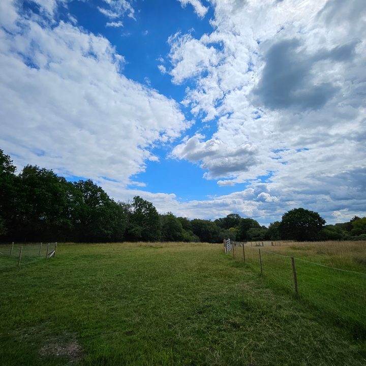 A wide-angle photo taken with the Samsung Galaxy Z Fold 5.