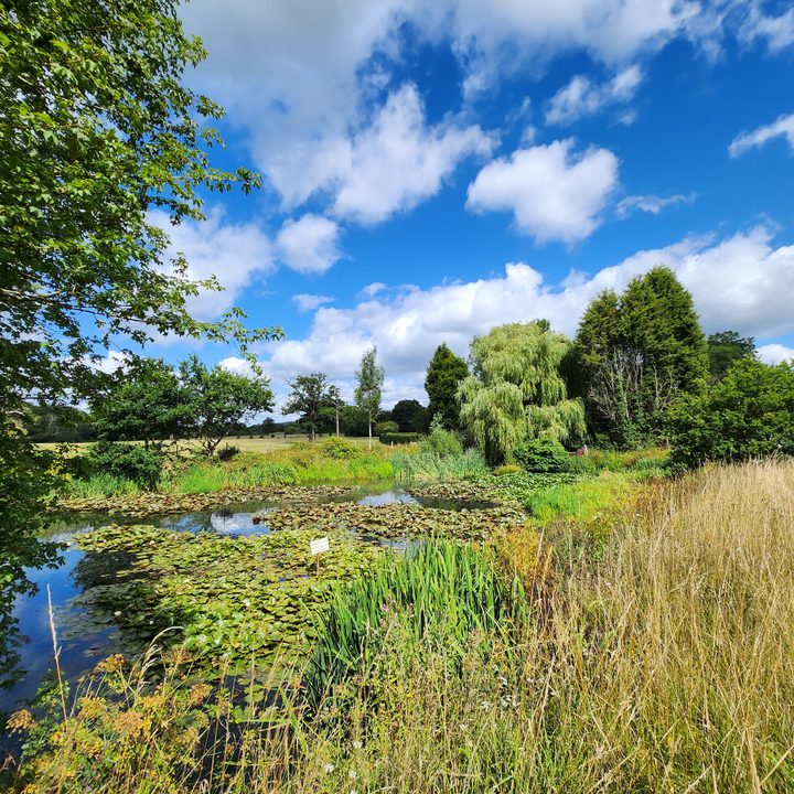 A wide-angle photo taken with the Samsung Galaxy Z Fold 4.