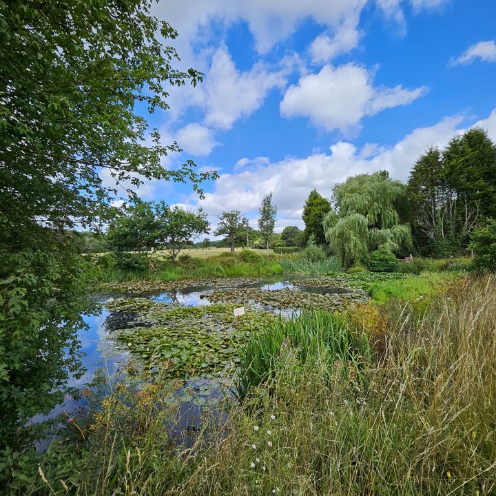 A wide-angle photo taken with the Samsung Galaxy Z Fold 5.