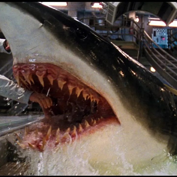 A shark attacks a man in Deep Blue Sea (1999)