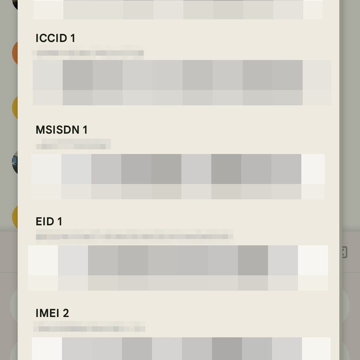 Having found your IMEI through the dialer.