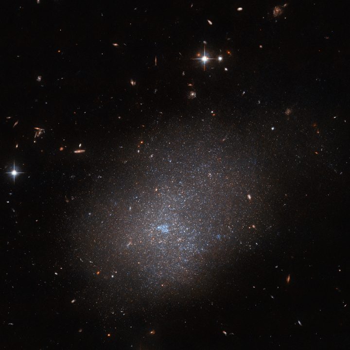 The galaxy ESO 300-16 looms over this image from the NASA/ESA Hubble Space Telescope. This galaxy, which lies 28.7 million light-years from Earth in the constellation Eridanus, is a ghostly assemblage of stars which resembles a sparkling cloud. Other distant galaxies and foreground stars complete this astronomical portrait, which was captured by the Advanced Camera for Surveys.