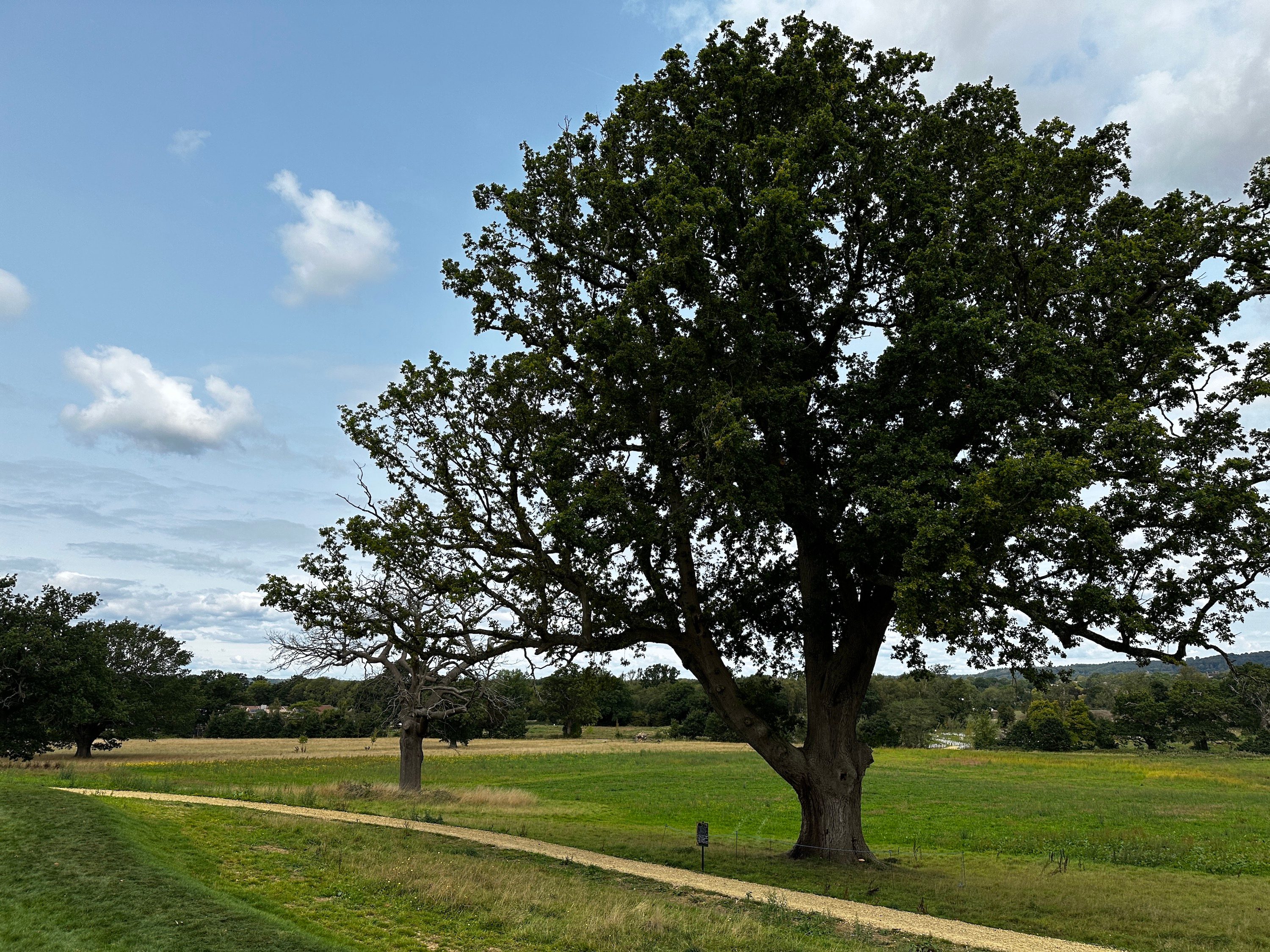 A photo taken with the iPhone 14 Pro's main camera.