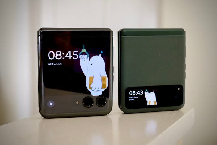 Moo on the Motorola Razr 40 and Razr Plus's cover screen.