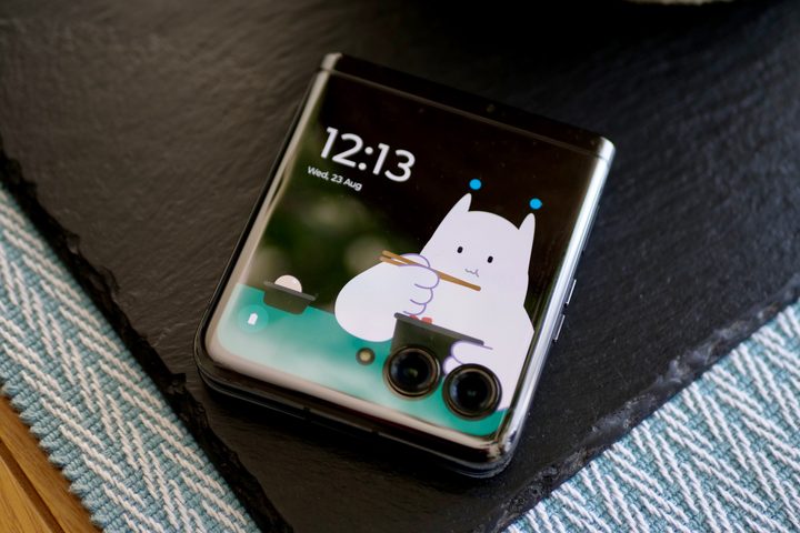 Moo on the Motorola Razr Plus's cover screen.