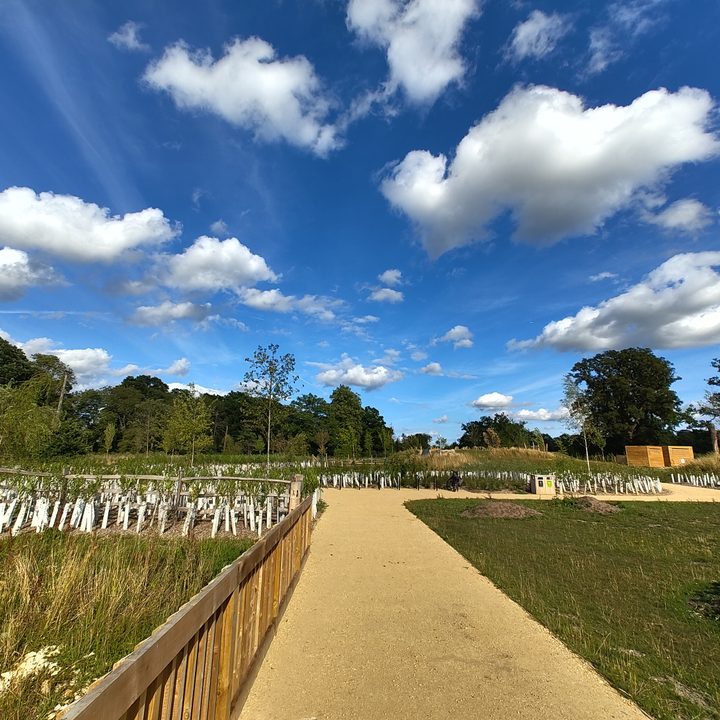 A wide-angle photo taken by the Nothing Phone 2.