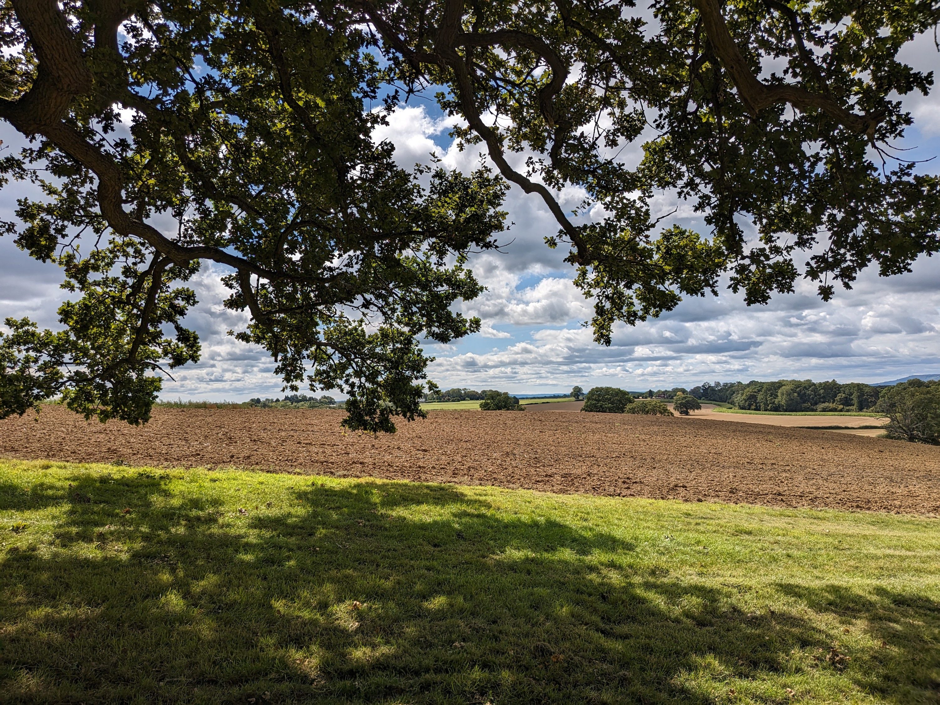 A photo taken with the Google Pixel Fold's main camera.