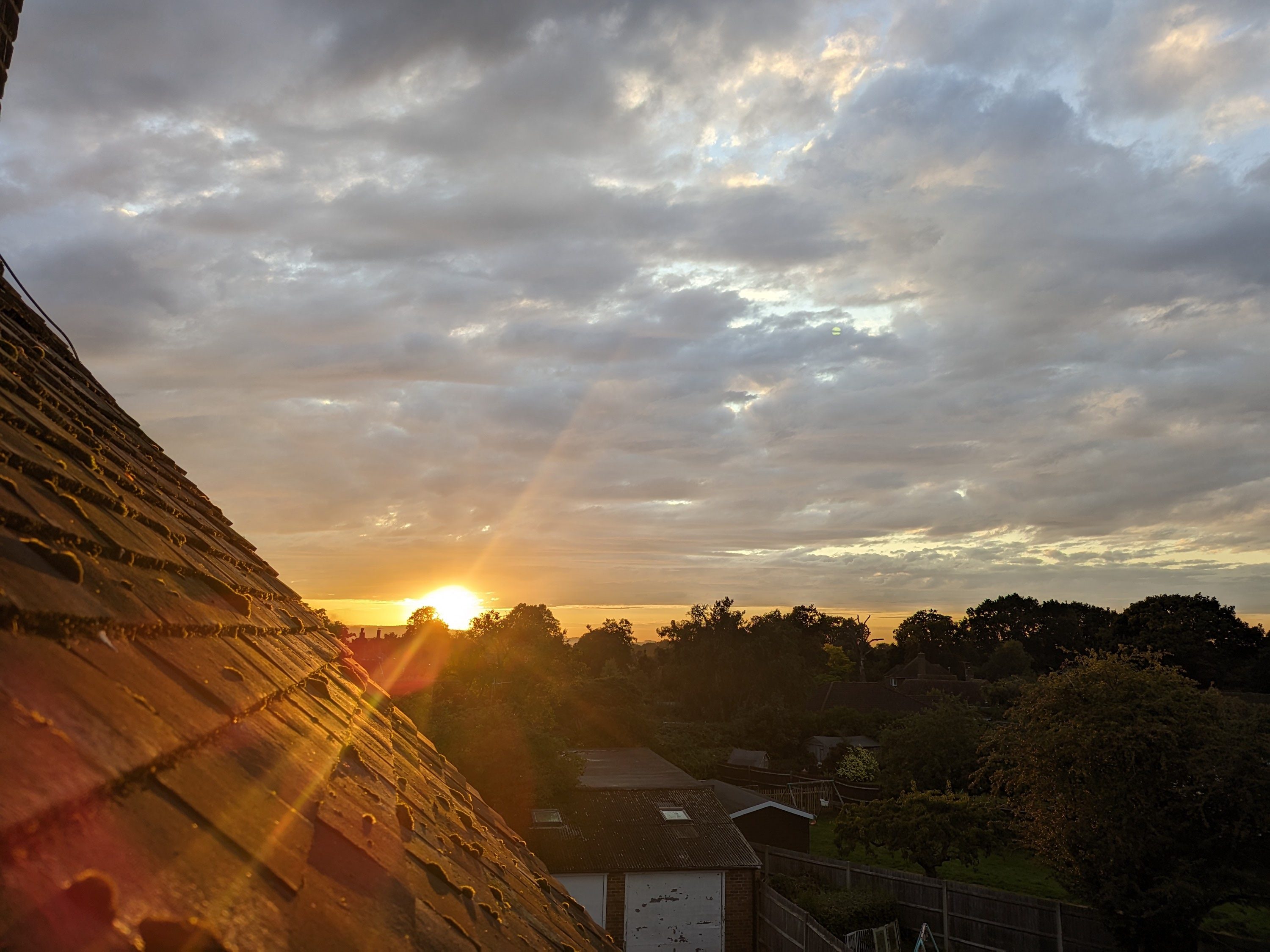 A photo taken with the Google Pixel Fold's main camera.